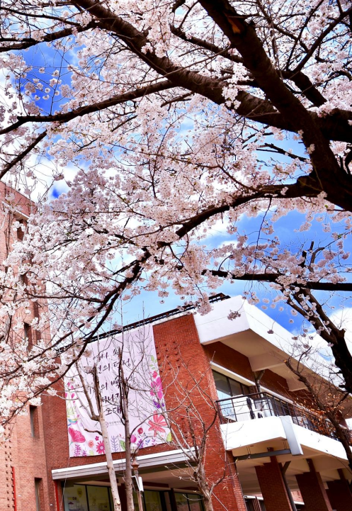 双语授课、免试录取 | 2023年韩国德成女子大学教育学博士申请提醒！(图5)