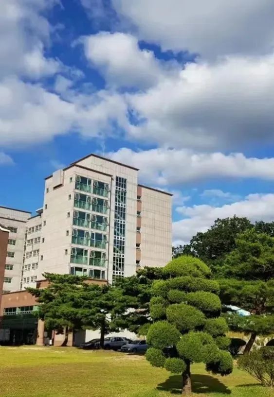 国际区域-中国学 韩国大真大学1年制全日制专升本(双语授课) 申请提醒!(图5)